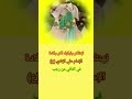 ستوريات حسينيه مولد الامام علي الهادي حالات واتساب ولادة الامام علي الهادي ع