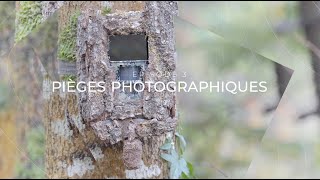 Loup et Réserves Naturelles  EP3  Pièges photographiques