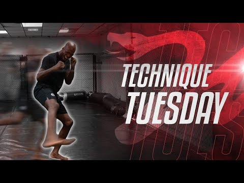 Michael 'Venom' Page Teaches New Tricks & Techniques in MMA! | Tutorial Tuesday