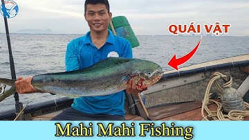 Câu Cá Lớn Tập 04 - Thử Thách Một Mình Câu Cá Dũa Và Cái Kết... | Tiến Bens - Fishing | 4K