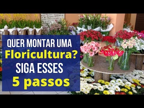 Vídeo: Como Abrir Uma Barraca De Flores