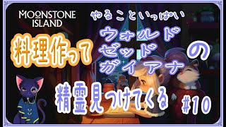【Moonstone Island】頼まれた料理と精霊用意する【10】
