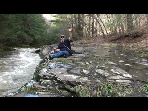 Stony Fork Creek Trout Fishing