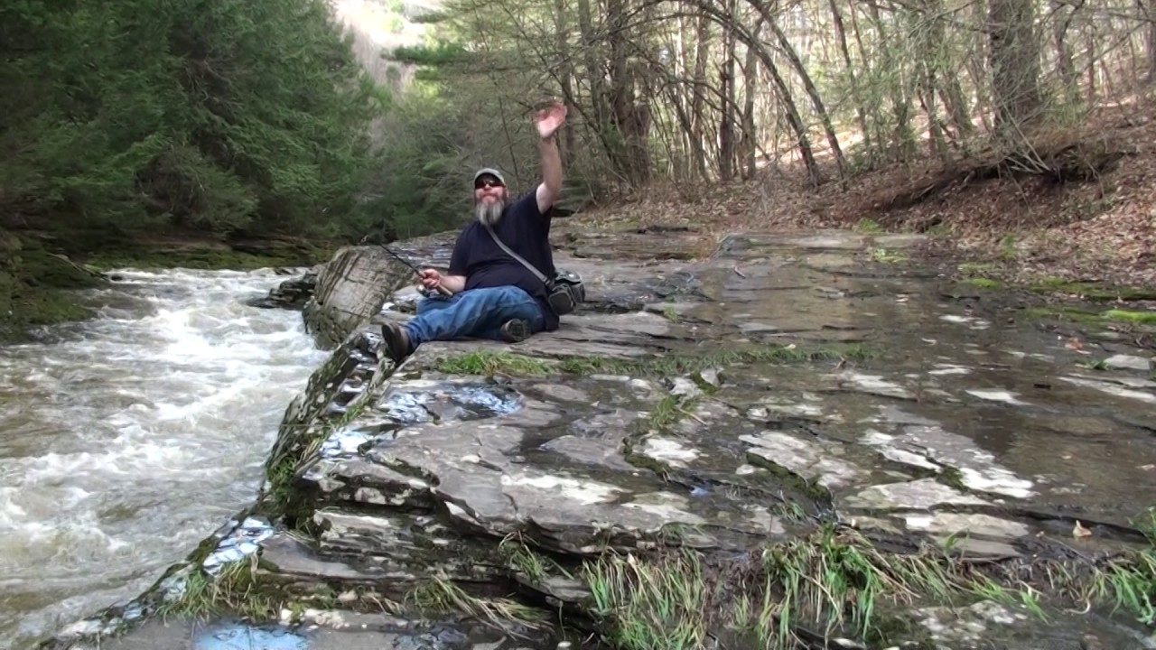 Stony Fork Creek Trout Fishing YouTube