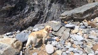 The Geological Environment of Coastal Foraging with Craig Evans by Coastal Foraging With Craig Evans 10,315 views 5 years ago 14 minutes, 21 seconds