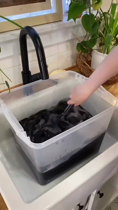 Dyeing Faded Clothes Back to Black #diy #howto #black
