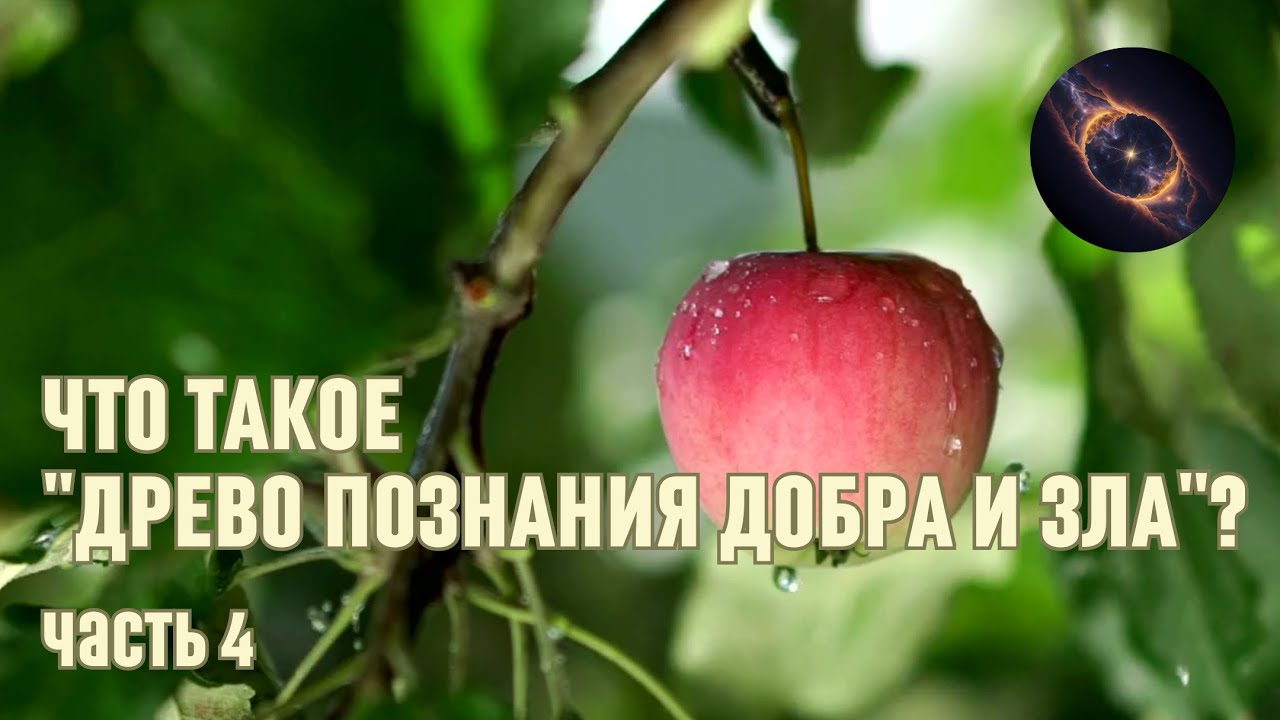 Что такое \"Древо познания Добра и Зла?\" Часть 4 - YouTube