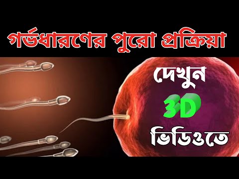 ভিডিও: কিভাবে আইফোনে Godaddy ইমেল চেক করবেন (ছবি সহ)