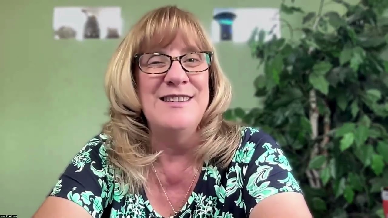 Q&A - • How does your personal experience shape the book?