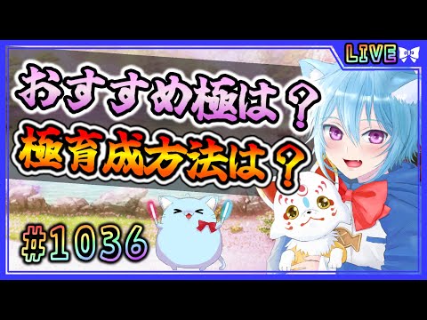 【#刀剣乱舞】とうらぶ実況#1036 極おすすめ、極育成の個人的超効率編【 #vtuber / #空毬せんろん /とうらぶ/雑談配信】