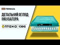 Інкубатор ПТАХА 130-G. Детальний огляд