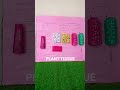 MODEL OF PLANT TISSUE