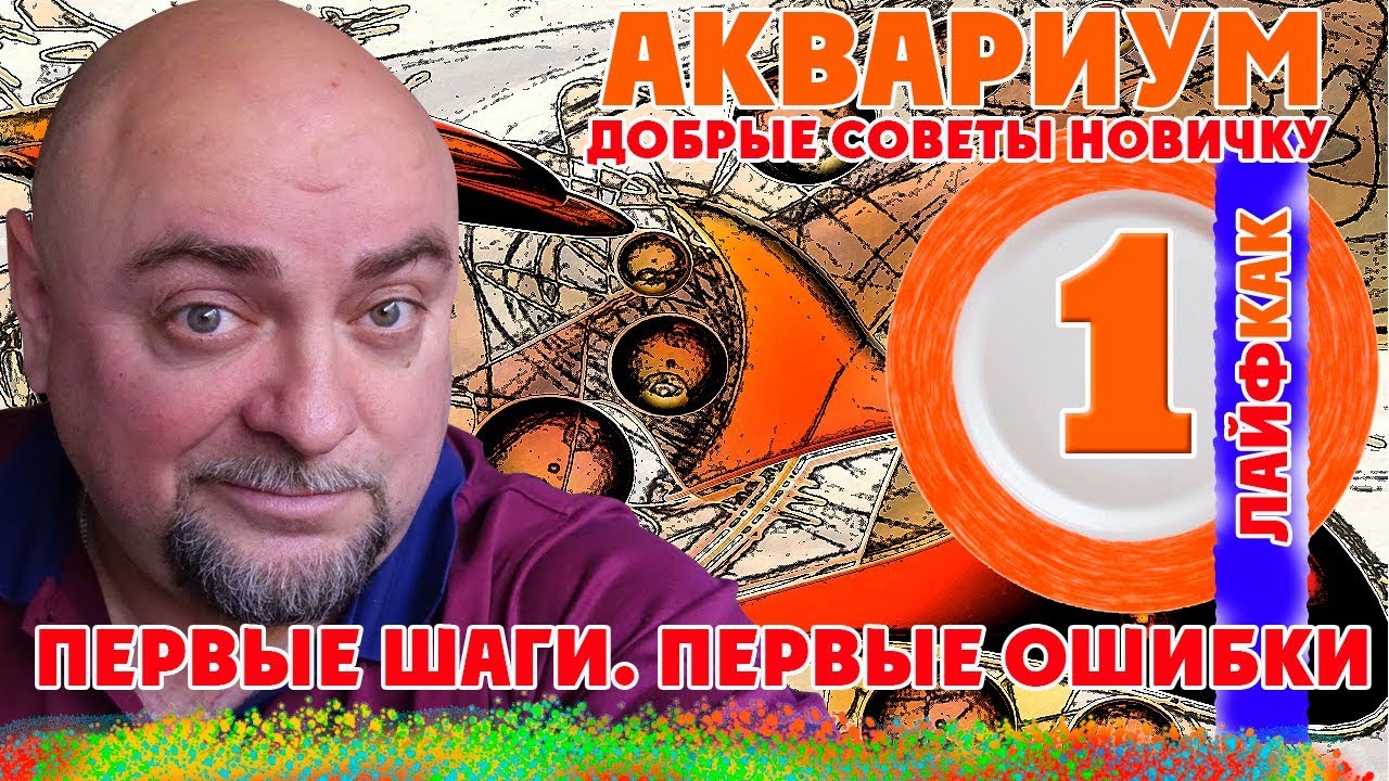 Аквариум. Как выбирать аквариум? Добрые советы новичку. - YouTube