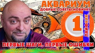 Аквариум. Как выбирать аквариум? Добрые советы новичку.