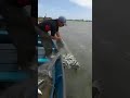 PESCA DE TARRAFA EM LAGUNA SC 10 2020 PESCA DE TARRAFA EM LAGUNA SC 10 2020