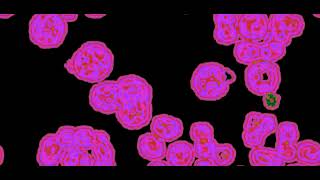 Gray-Scott Reaction and Diffusion Model