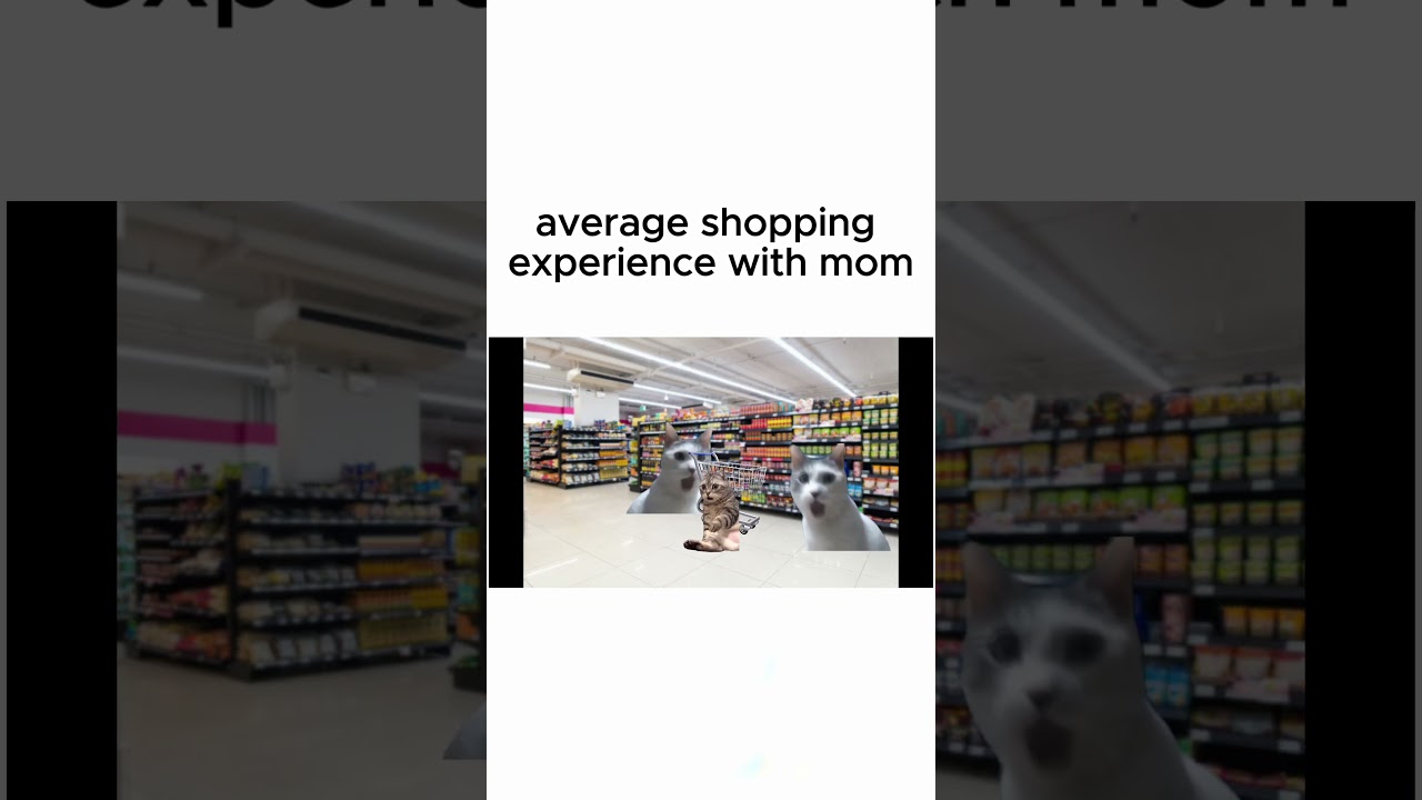 em.u - Self-made cat meme short