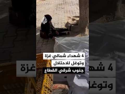 استشهاد 4 فلسطينيين بنيران الاحتلال شمالي غزة، وتوغل رتل عسكري جنوب شرقي القطاع، وفق مصادر فلسطينية