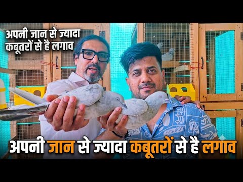 Apni Jaan Se Zyada Kabootar Se Hai Lagaw !! Ankit Paliwal by Rizwan Ali Sabri !! Jaipur tonk pigeons