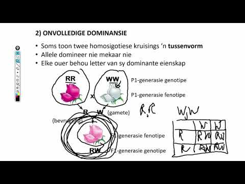 Video: Hoe verskil onvolledige dominansie van Mendeliese genetika?