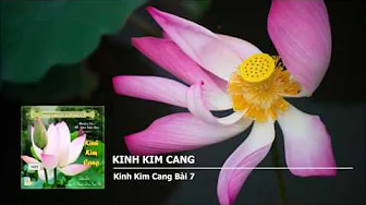 Bài 7 