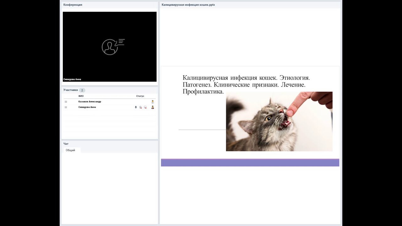 Калицивирусная инфекция кошек. Этиология. Патогенез. Клинические ...