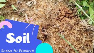 Soil | Science lesson for grade 2