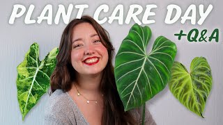 A Motivating Day of Plant Care | Lazy Poles, Pests & Propagations