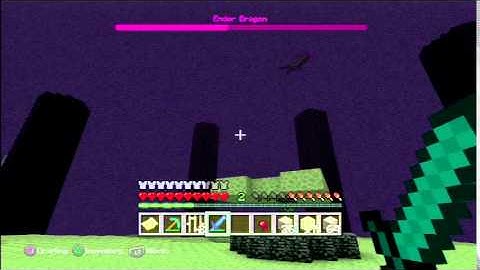 Ender Dragon The End Tutorial World PS3/PS4/PS Vita