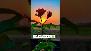 Good morning🌄 #shorts#song #music#morning #trendingsong