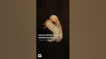 Animal Classification | #biology #science #zoology #animals