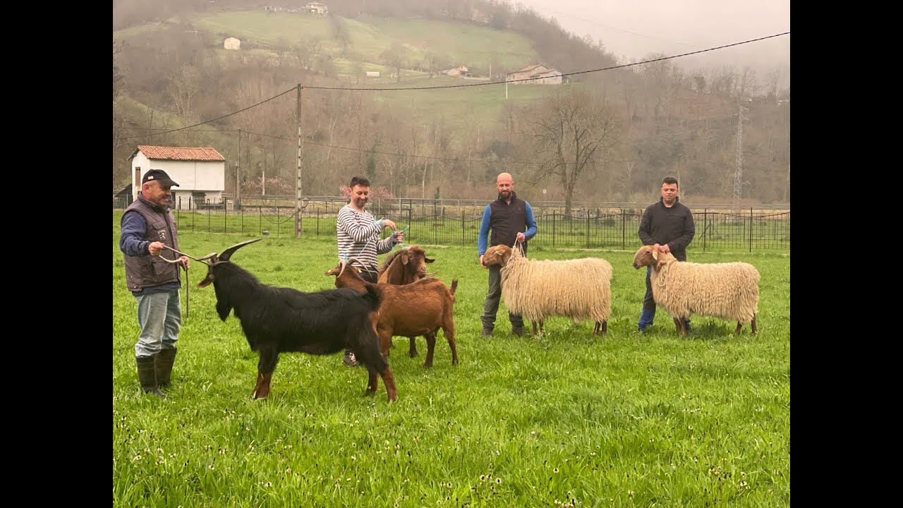 Entrevista a la asociación ASCAN / El Campo de Asturias