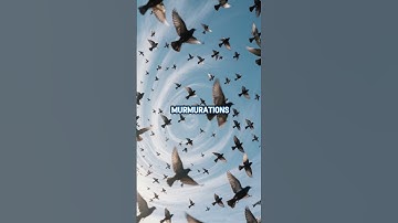 🧠 The 5 CORNERS: Objects with Secret Intelligence That DEFY Science (Insane)