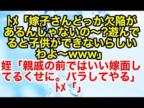 スカッとする話  トメが親族で集まった時に計画子無しに文句をつけてきた。それを姪が聞いていて…【スカッとオーバーフロー】