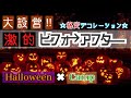 ★格安デコレーション★　ハロウィンキャンプ大設営‼