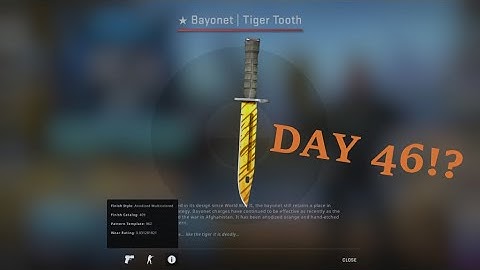 opening a case everyday until I get a knife (Day 46)
