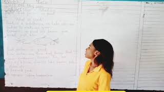 Religion and National Values - Basic 1 (Week One)