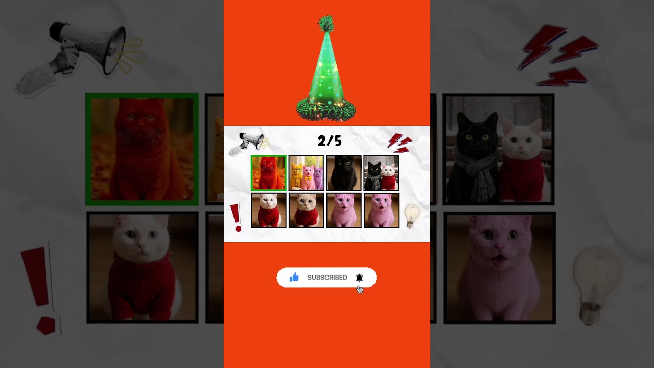 Say the word on beat,cats 