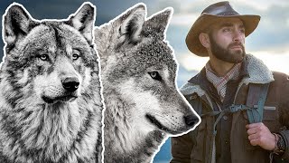 Coyote Peterson On If You Ever Run Into A Wolf..
