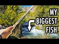 I Just Caught My Biggest Fish Ever (Tenkara Fly Fishing)