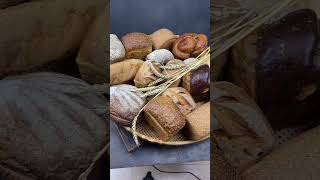 🍞 Can Chickens Eat Bread? 🤔 The Crumby Truth You Need to Know! 🐔😂 #happyhens #backyardchickens 🍞 Can Chickens Eat Bread? 🤔 The Crumby Truth You Need to Know! 🐔😂 #happyhens #backyardchickens