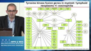 Biology and Therapy of Eosinophilic MPNs