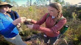 Wetland Evaluation Training