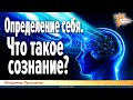 Определение себя. Что такое сознание? // Искусственный интеллект