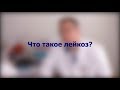 #СПРОСИВРАЧА. Алексей Пшонкин о лейкозе и жизни после него