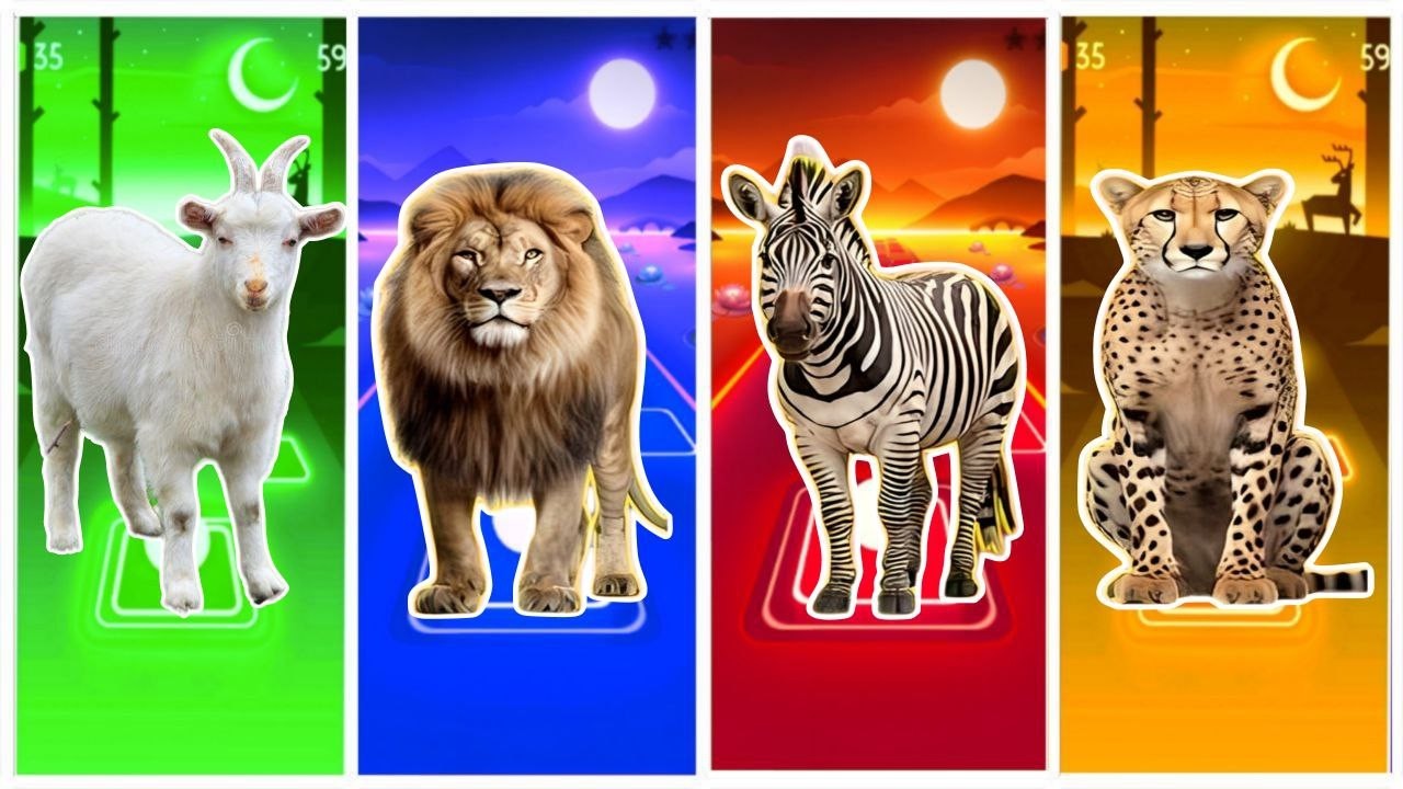 Tiles Animals😘GOAT🆚LION🆚 ZEBRA 🆚 TIGER 🎼Coffin