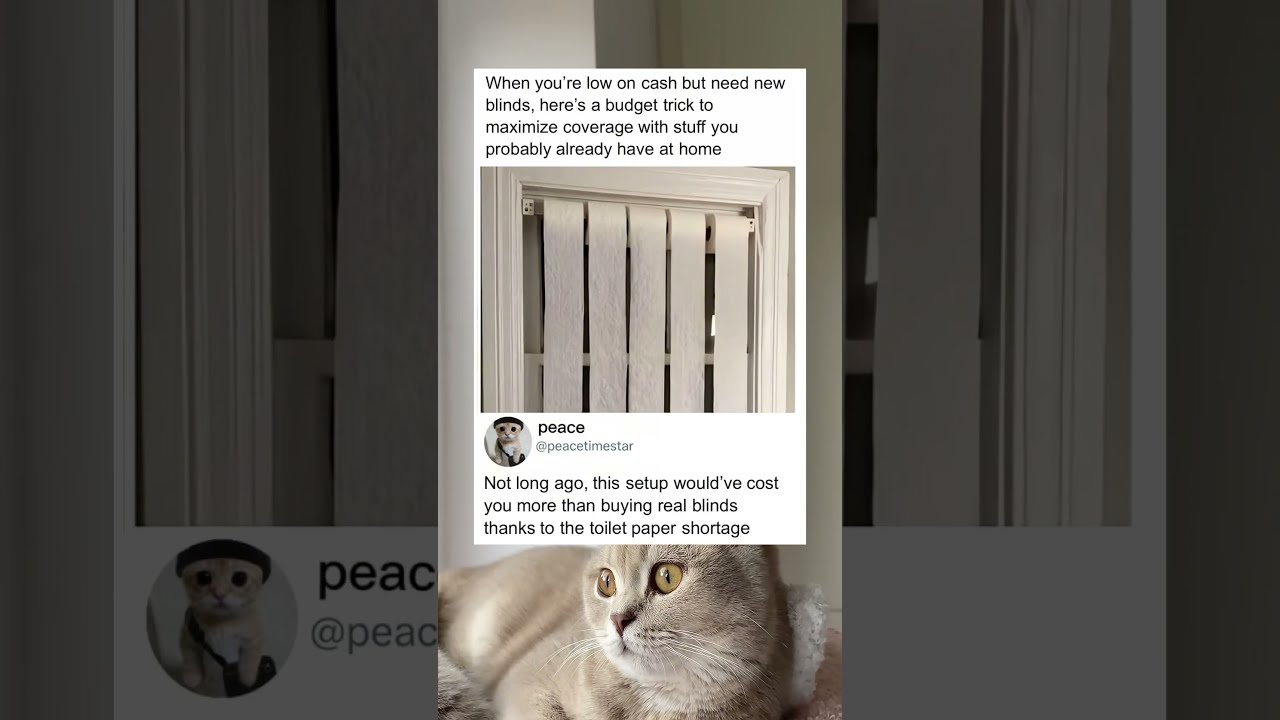 This Might Be Cheaper Than Real Blinds