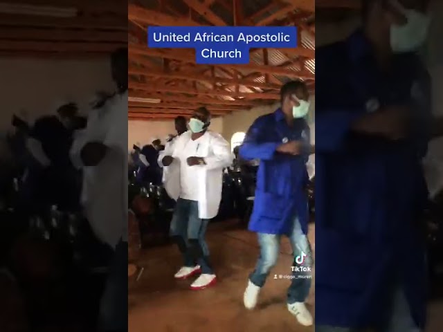 United African Apostolic Church class=