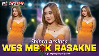 Shinta Arsinta - Wes Mbok Rasakne | Dangdut ( Music Video)