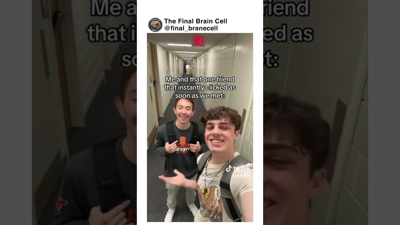 Offensive memes ylyl #43 #shorts #funny #offensivememes #offensivememesylyl #memes  #tiktok